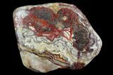 4.4" Polished Lace Agate Section - Chihuahua, Mexico - #129518-2